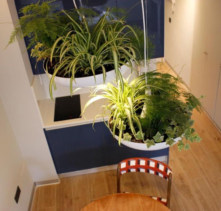 Apartamento Por Temporada Centro Diseno Мадрид Екстериор снимка
